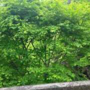 ヒメ日記 2026/04/21 16:30 投稿 桃李-MOMORI- luxury aroma 咲