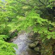 ヒメ日記 2026/04/27 11:30 投稿 桃李-MOMORI- luxury aroma 咲