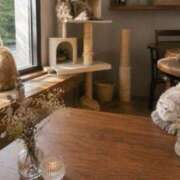 ヒメ日記 2026/06/14 16:00 投稿 桃李-MOMORI- luxury aroma 咲