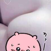 ヒメ日記 2025/11/20 20:58 投稿 あい 静岡駅前ちゃんこ