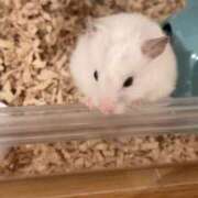 ヒメ日記 2025/07/21 15:07 投稿 きらら Okini所沢