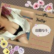 ヒメ日記 2025/08/30 10:00 投稿 ひすい 熟女の風俗最終章 相模原店