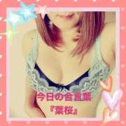 ヒメ日記 2026/04/08 10:05 投稿 ひすい 熟女の風俗最終章 相模原店