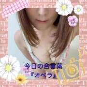 ヒメ日記 2026/04/17 10:05 投稿 ひすい 熟女の風俗最終章 相模原店