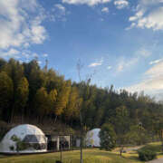 ヒメ日記 2025/12/01 10:48 投稿 あや 鎌倉御殿 新館