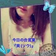 ヒメ日記 2026/04/23 10:11 投稿 ひすい 熟女の風俗最終章 町田店