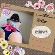 ヒメ日記 2026/06/10 10:01 投稿 ひすい 熟女の風俗最終章 町田店