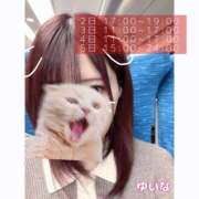 ヒメ日記 2026/03/01 19:59 投稿 ゆいな 野田デリヘル若妻淫乱倶楽部