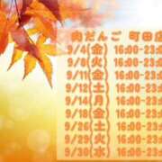 ヒメ日記 2026/09/08 14:40 投稿 ちさと 町田デブ専肉だんご