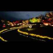 ヒメ日記 2025/08/14 02:57 投稿 綾川 寧音 人妻セレブ宮殿