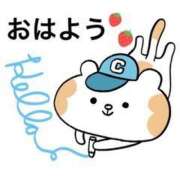 ヒメ日記 2025/12/13 12:41 投稿 綾川 寧音 人妻セレブ宮殿