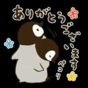 ヒメ日記 2026/01/14 02:16 投稿 綾川 寧音 人妻セレブ宮殿