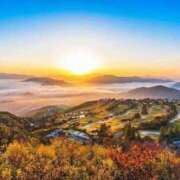 ヒメ日記 2026/01/24 11:14 投稿 綾川 寧音 人妻セレブ宮殿