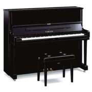 ヒメ日記 2026/02/04 17:15 投稿 綾川 寧音 人妻セレブ宮殿