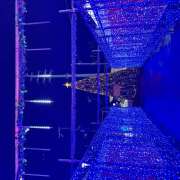 ヒメ日記 2025/12/26 17:13 投稿 やよい 神田エマニエル