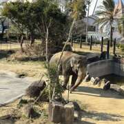 ヒメ日記 2026/02/04 17:33 投稿 やよい 神田エマニエル