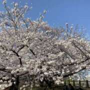 やよい 🌸 神田エマニエル