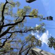 やよい 🌙 神田エマニエル