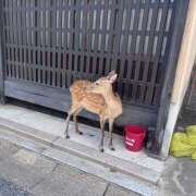 ヒメ日記 2026/08/12 18:04 投稿 やよい 神田エマニエル