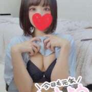 ヒメ日記 2025/12/09 07:54 投稿 皐月みや ブルーバード