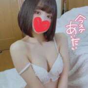 ヒメ日記 2025/12/14 21:54 投稿 皐月みや ブルーバード