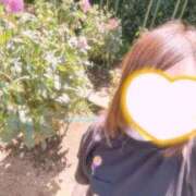 ヒメ日記 2026/09/23 13:46 投稿 ねお 埼玉熊谷ちゃんこ