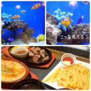 ヒメ日記 2025/08/01 19:10 投稿 ゆり 埼玉本庄ちゃんこ