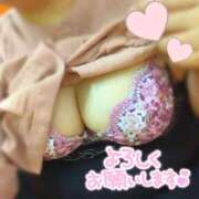 ヒメ日記 2025/08/04 13:44 投稿 ゆり 埼玉本庄ちゃんこ