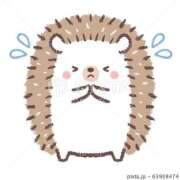 ヒメ日記 2026/01/23 07:52 投稿 ほたる 宮城♂風俗の神様 仙台店