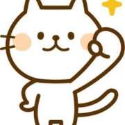 ヒメ日記 2025/10/11 02:20 投稿 かりん 胡蝶蘭