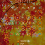 ヒメ日記 2025/11/01 06:27 投稿 えのん ハピネス東京