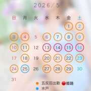 ヒメ日記 2026/04/24 20:38 投稿 えのん ハピネス東京