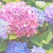 ヒメ日記 2026/06/08 21:07 投稿 えのん ハピネス東京