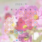 ヒメ日記 2026/08/12 21:39 投稿 えのん ハピネス東京