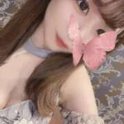 ヒメ日記 2025/07/29 16:19 投稿 堂本あこ ブルーバード