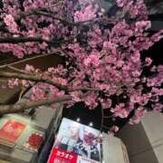 ヒメ日記 2026/03/27 09:47 投稿 なぎさ 新感覚恋活ソープもしも彼女が○○だったら・・・福岡中州本店