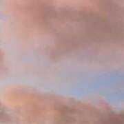 桜井　かんな こんばんは！ SM東京　新宿店