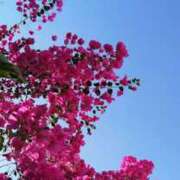 ヒメ日記 2025/08/07 00:50 投稿 ほのか 奥鉄オクテツ神奈川店（デリヘル市場グループ）