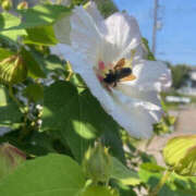 ヒメ日記 2025/09/04 08:54 投稿 ほのか 奥鉄オクテツ神奈川店（デリヘル市場グループ）