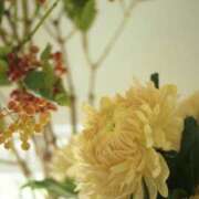 ヒメ日記 2025/09/08 08:35 投稿 ほのか 奥鉄オクテツ神奈川店（デリヘル市場グループ）