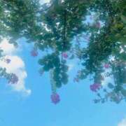 ヒメ日記 2025/09/17 00:03 投稿 ほのか 奥鉄オクテツ神奈川店（デリヘル市場グループ）