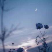 ヒメ日記 2025/09/22 14:50 投稿 ほのか 奥鉄オクテツ神奈川店（デリヘル市場グループ）