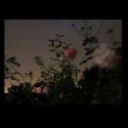 ヒメ日記 2025/10/01 09:20 投稿 ほのか 奥鉄オクテツ神奈川店（デリヘル市場グループ）