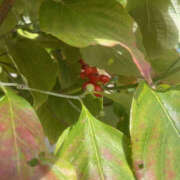 ヒメ日記 2025/10/08 09:34 投稿 ほのか 奥鉄オクテツ神奈川店（デリヘル市場グループ）