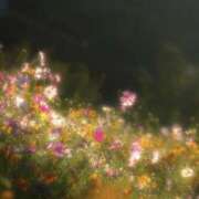 ヒメ日記 2025/11/03 21:52 投稿 ほのか 奥鉄オクテツ神奈川店（デリヘル市場グループ）