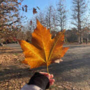 ヒメ日記 2025/12/17 09:39 投稿 ほのか 奥鉄オクテツ神奈川店（デリヘル市場グループ）