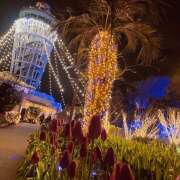 ヒメ日記 2025/12/20 11:27 投稿 ほのか 奥鉄オクテツ神奈川店（デリヘル市場グループ）