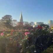 ヒメ日記 2025/12/30 20:34 投稿 ほのか 奥鉄オクテツ神奈川店（デリヘル市場グループ）