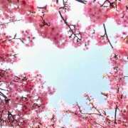 ヒメ日記 2026/03/07 00:22 投稿 ほのか 奥鉄オクテツ神奈川店（デリヘル市場グループ）