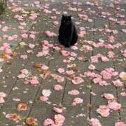 ほのか 本日出勤します❣️ 奥鉄オクテツ神奈川店（デリヘル市場グループ）